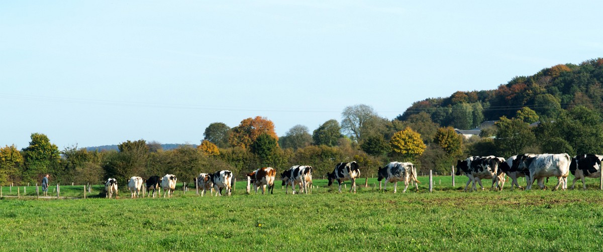 foto: [20191023PV0118A]